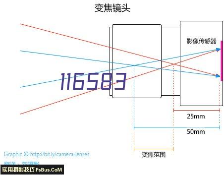 张芳菲