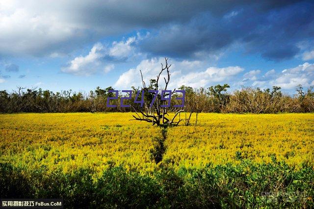 东南网架承建“中国天眼”“昆明南站”荣获我国土木工程领域最高荣誉詹天佑奖