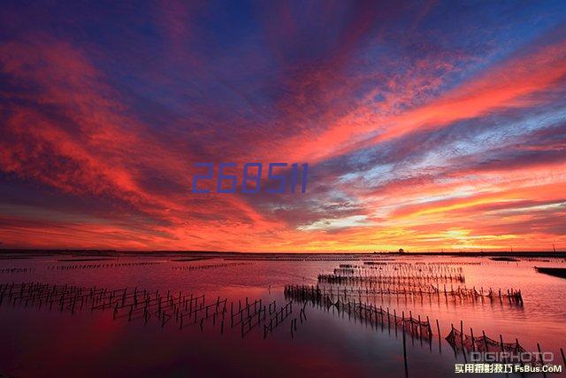 湘潭雨湖诗社2022年年会纪实