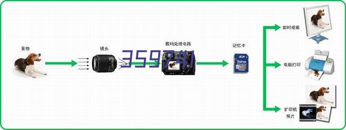 桌面壁纸君app免费手机版v1.0.0手机版