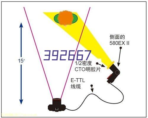 里加FC