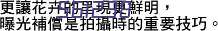 SONY索尼PSV游戏机 2000 正品 国行 WIFI版 不含存储卡 掌上游戏机 主机