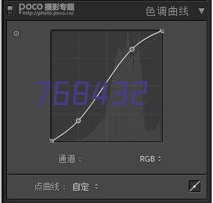 烧饼皇后