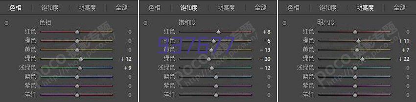 食品真空封口机 蔬菜真空包装设备