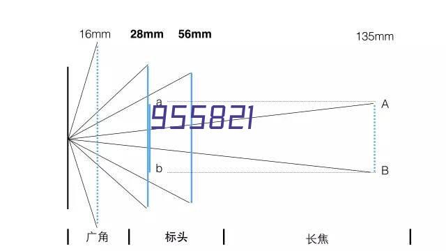 zuqiu